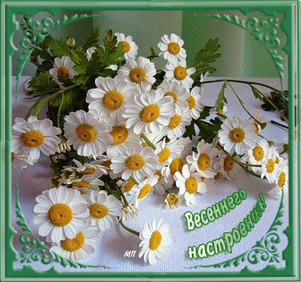 Анимация Весна Ромашки