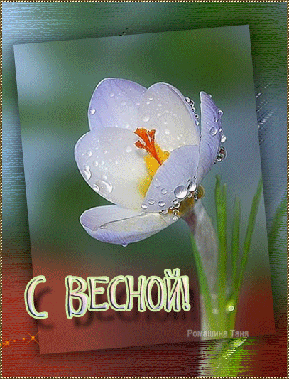 Анимация Весна Белый цветок