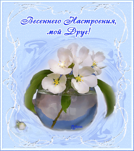 Анимация Весна Белые цветы