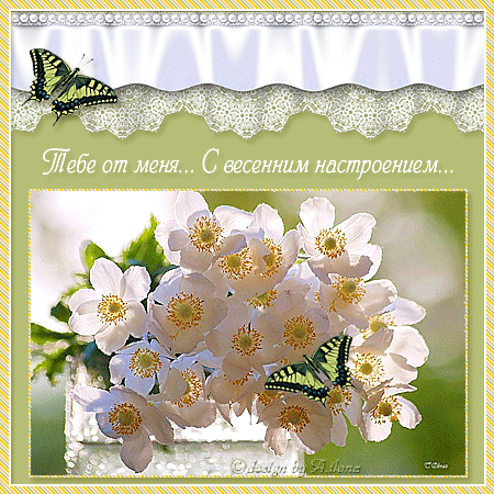 Анимация Надписи Бабочки
