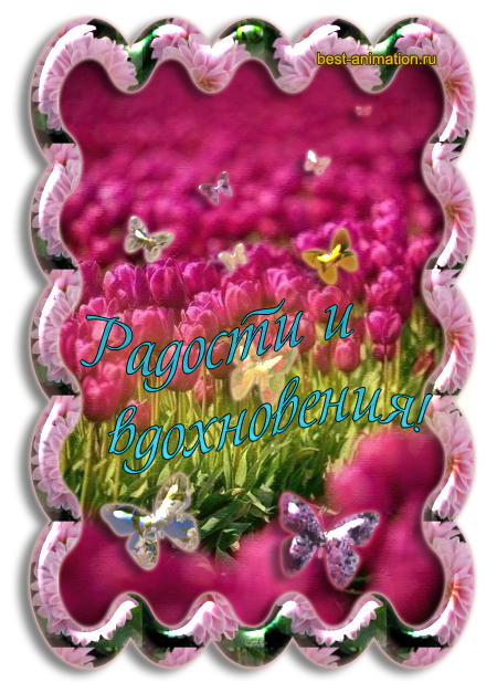 tyulpany